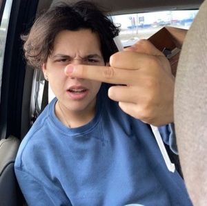 Meet your Posher, Gauge